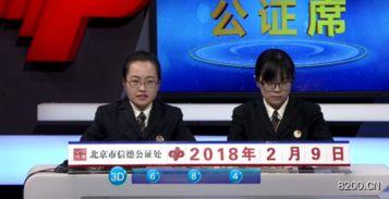 3d近期开奖号查询,精彩回顾与趋势分析