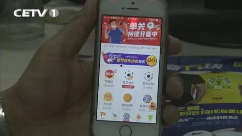 彩票 赌足球 篮球,揭秘体育博彩的诱惑与风险”