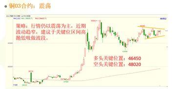 45612买马走势图,趋势分析及投资策略