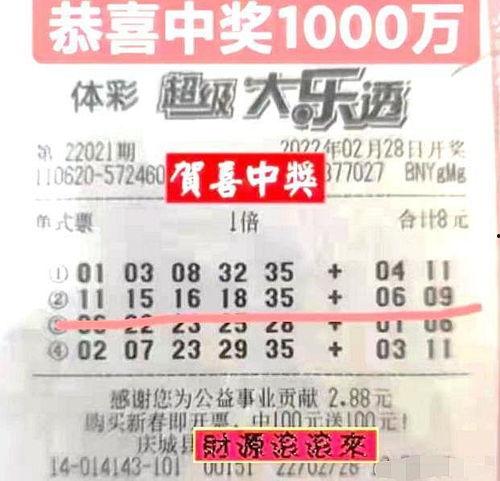 大乐透开奖结果快,幸运号码揭晓，大奖花落谁家？