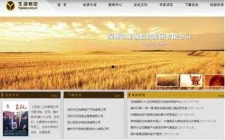 体彩振幅走势图,揭示市场波动奥秘