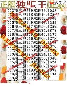 2017年3d图谜,视觉奇遇与智慧挑战
