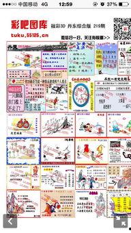 今天3d玄机图解吗,探寻数字艺术与科技融合的奥秘