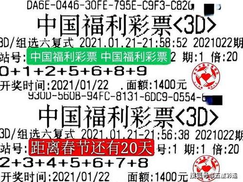幸运鑫3d字谜145期,揭秘数字奥秘，探寻幸运之门
