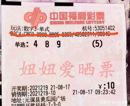 219期3d开奖结果,惊喜连连，大奖花落谁家？